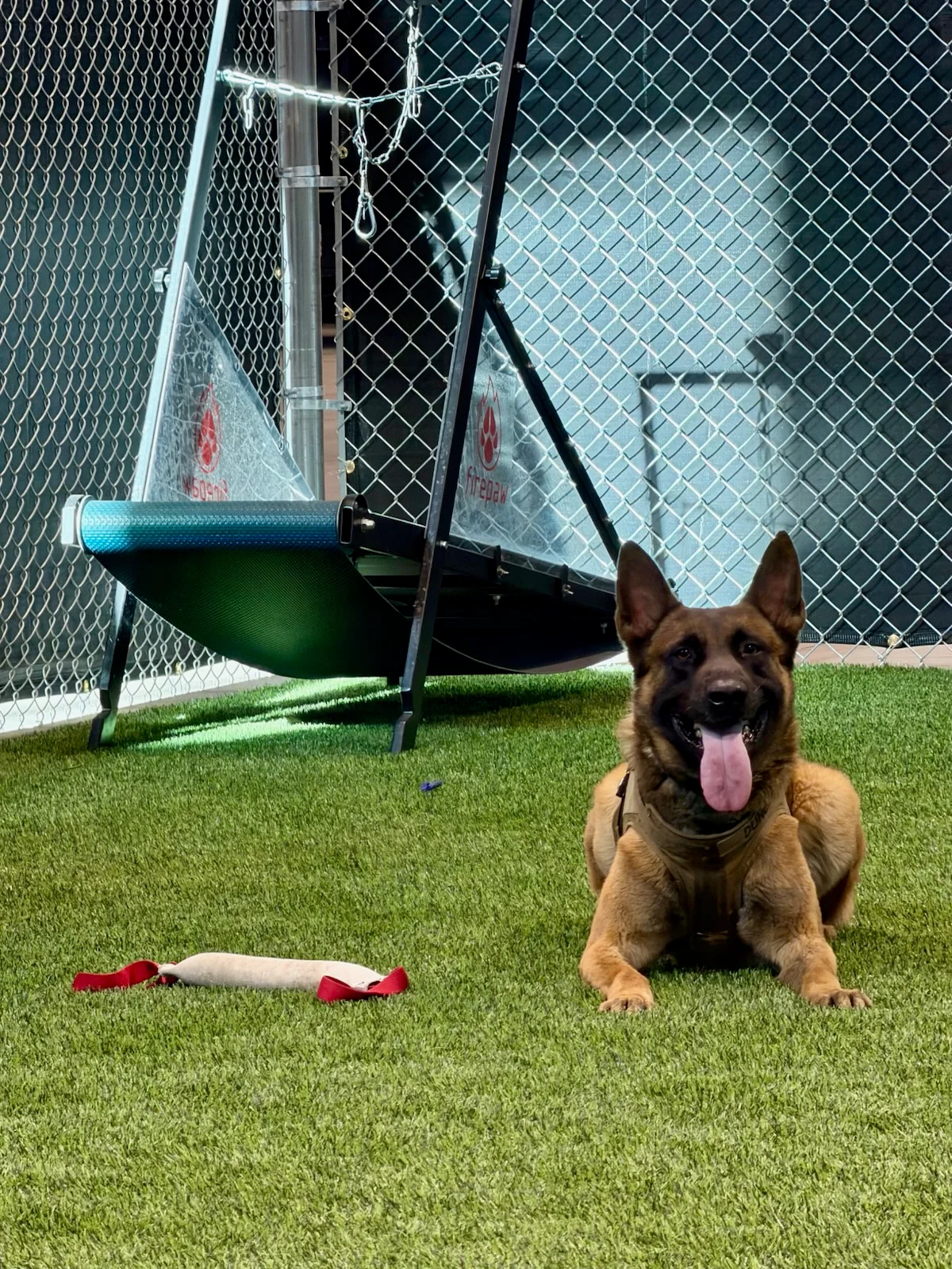 Newly installed turf field at K9 training facility with training equipment visible in background